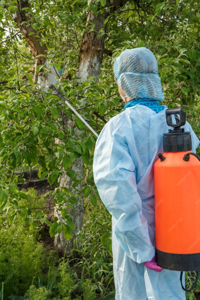 20231004112923 fpdl.in agricultora rociando manzano enfermedad fungica productos quimicos usando rociador presion 393202 12163 large